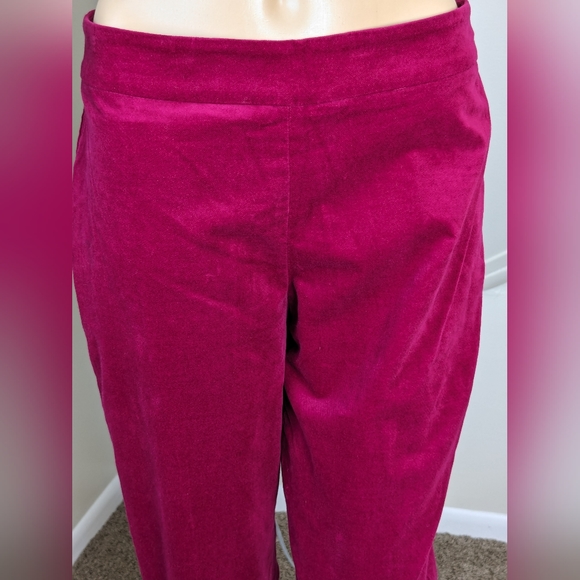 Velvet Fusia Talbots Curvy Pants Size 10P - Picture 2 of 11